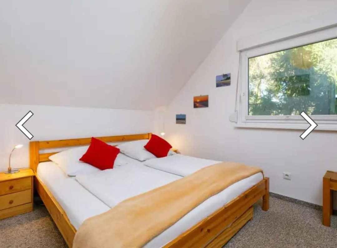 Holiday Home In צינוביץ מראה חיצוני תמונה